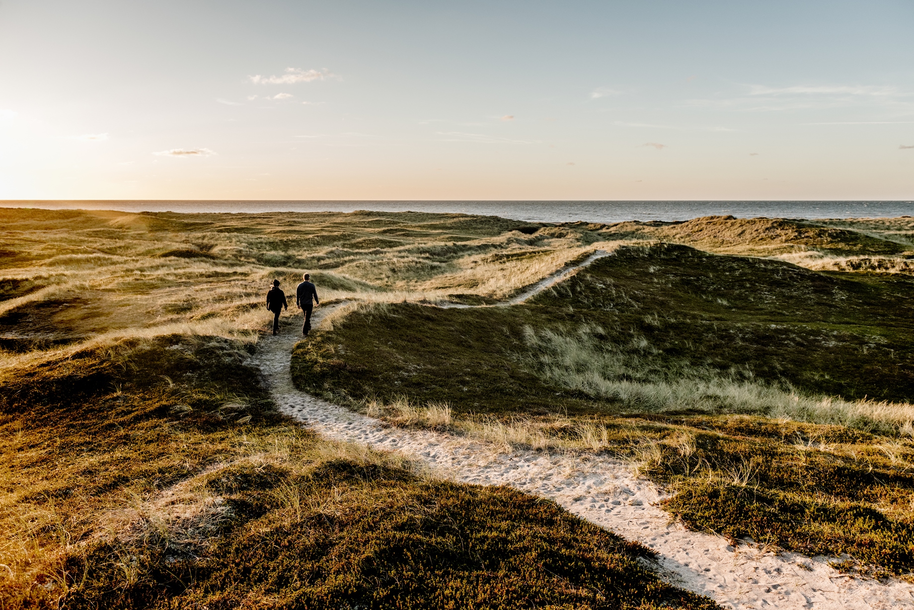 A couple walking through the beautiful dune landscapes of Thy National Park, highlighting outdoor activities.