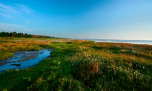 Djursland_2