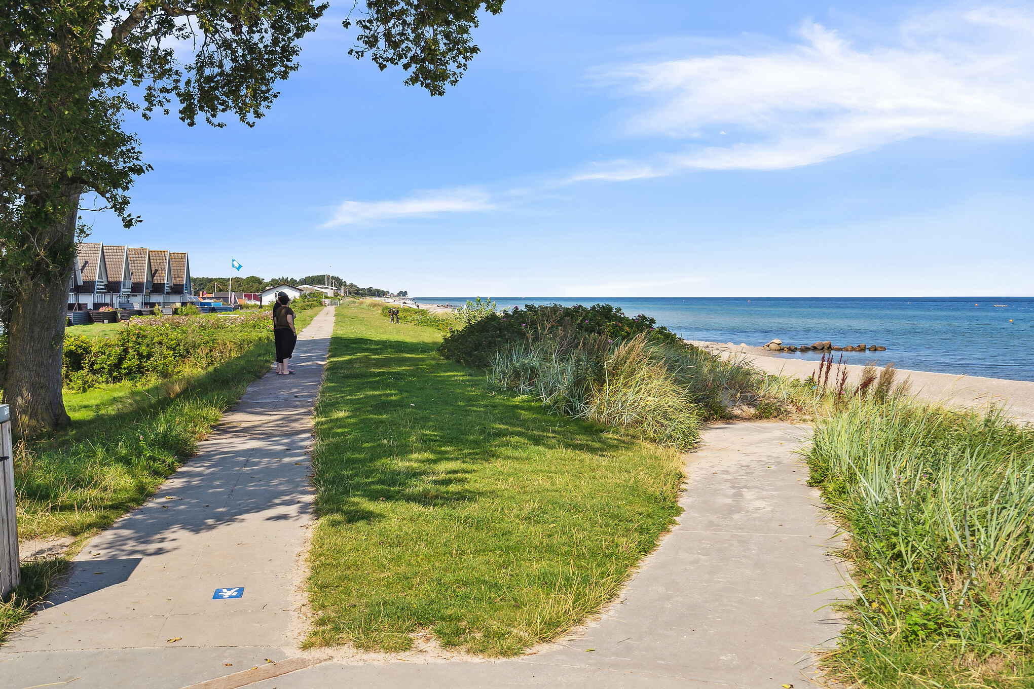 Trail systems at Hasmark Strand